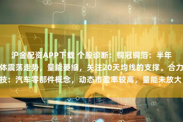 沪金配资APP下载 个股诊断：铜冠铜箔：半年报净利润大增，高位箱体震荡走势，量能萎缩，关注20天均线的支撑。合力科技：汽车零部件概念，动态市盈率较高，量能未放大，股价维持横盘震荡（刘欣）