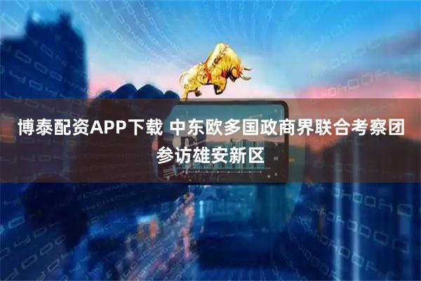 博泰配资APP下载 中东欧多国政商界联合考察团参访雄安新区