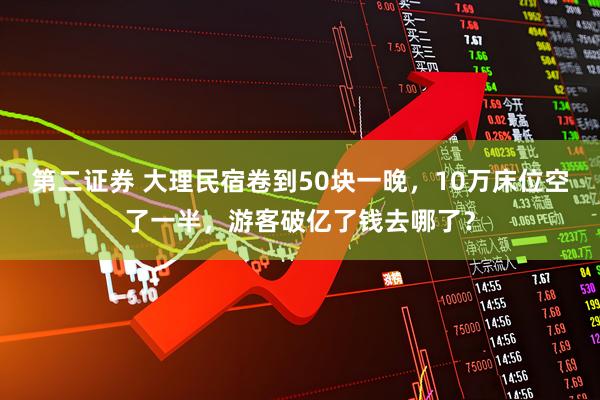 第二证券 大理民宿卷到50块一晚，10万床位空了一半，游客破亿了钱去哪了？